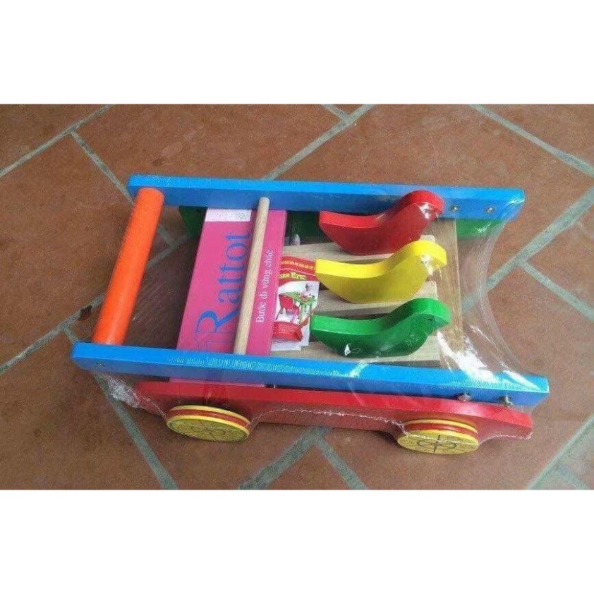 Xe tập đi con chim