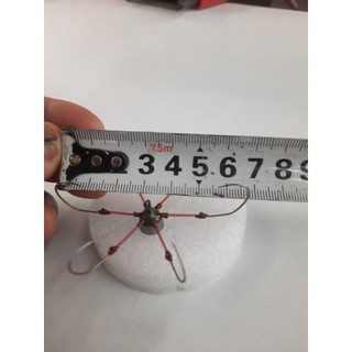 lưỡi câu lục cỡ 6 các phom dáng,lưỡi lục giành cho câu rô mà , câu lục cần tay