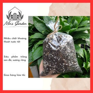 Đất Trồng Sen Đá Xương Rồng Trồng Cây 1kg 🔥FREE SHIP🔥 Siêu Phẩm Trồng Sen Đá Xương Rồng
