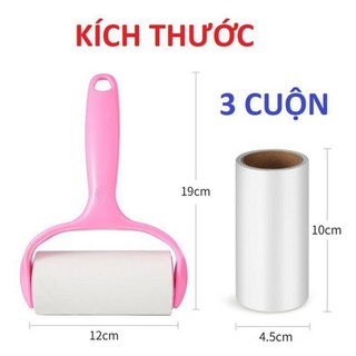 Cây lăn lông chó mèo và lăn bụi