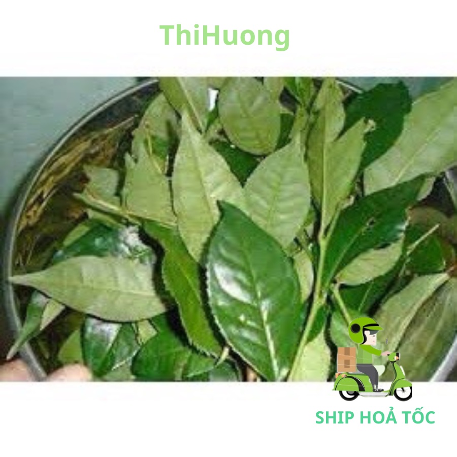 Lá chè xanh tươi 1 kg - Ship siêu tốc Hà Nội