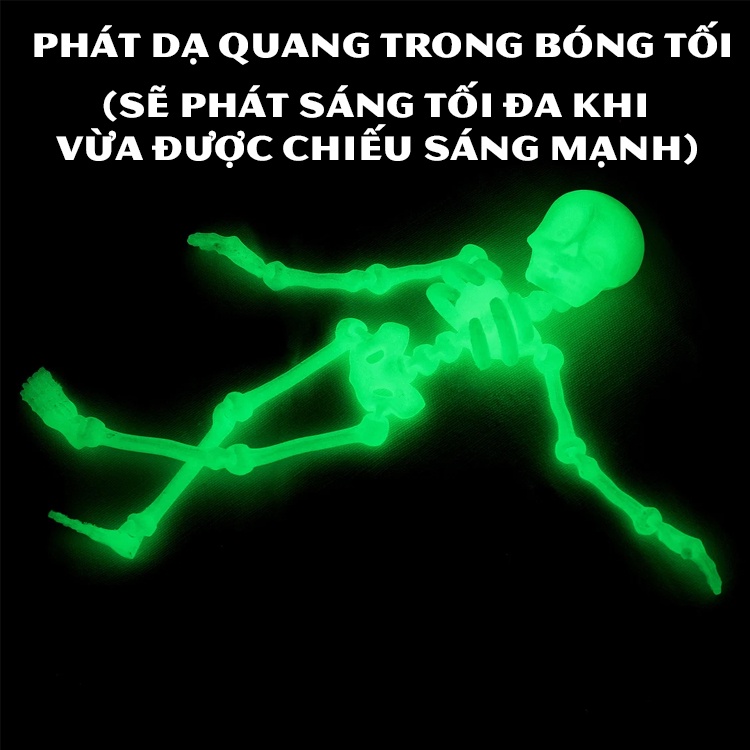 Đồ chơi bộ xương halloween cute vui tính giải trí dễ thương - in 3d thủ công - đồ chơi cho trẻ con đáng yêu nhiều màu
