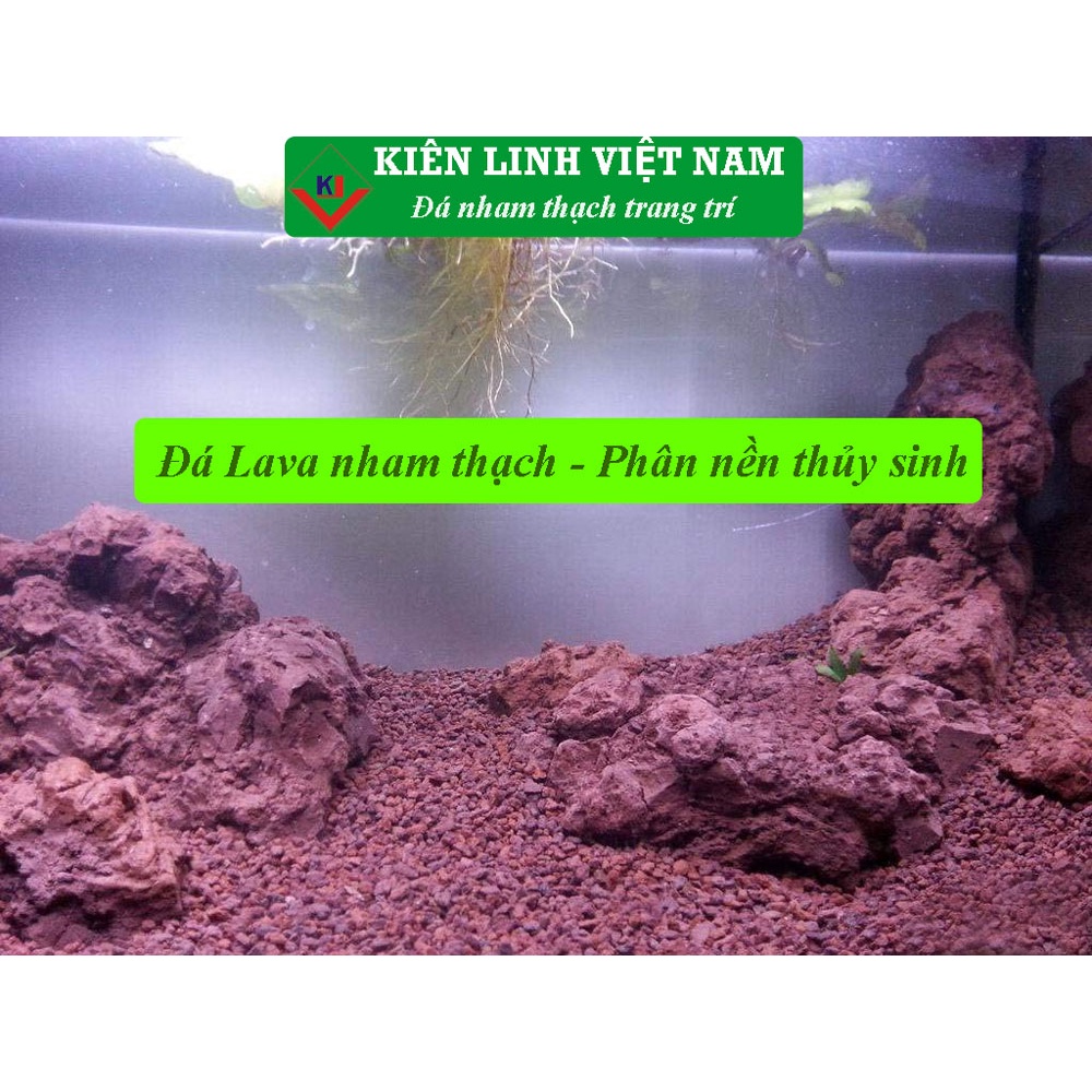 Đá Lava nham thạch rải mặt, túi 1kg, màu đỏ, dùng cho thủy sinh, bonsai, xương rồng, sen đá
