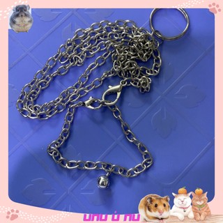 Bộ Dây Xích Cho Sóc Trưởng Thành
