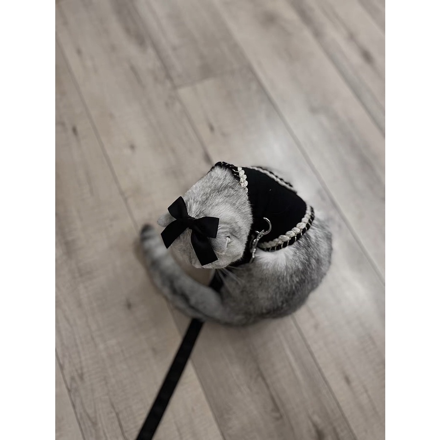 Dây dắt đi dạo cho chó mèo chất liệu dạ Twist - 4pets official