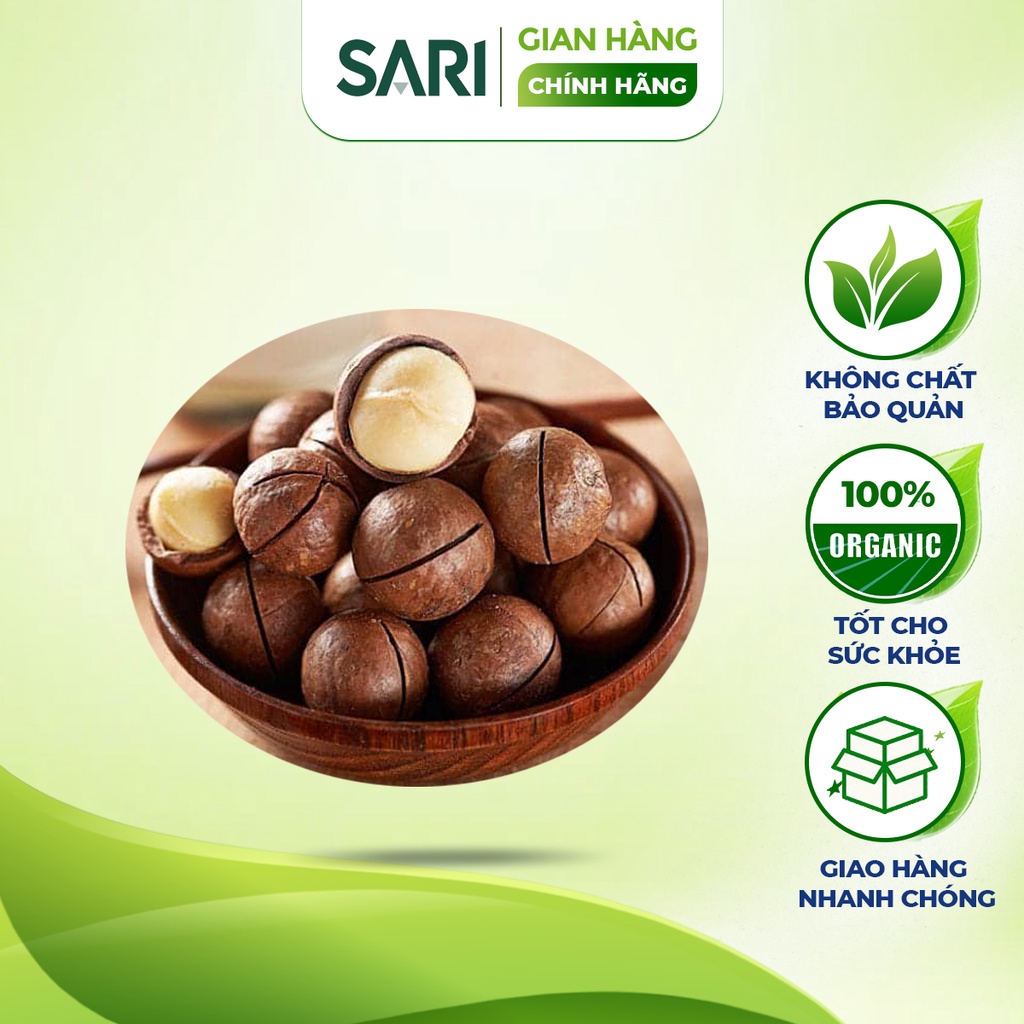 Hạt Macca Nứt Vỏ Đăk Lăk Size Đại Giàu Dinh Dưỡng Không Hôi Dầu 500g - Hạt Macca