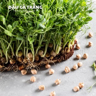 Đậu Gà Trắng Real Food (700g/350g)