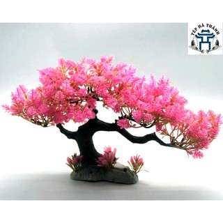 Lũa Bonsai Mini Trang Trí Bể Cá - Bể Thủy Sinh (D:20cm C: 15cm)