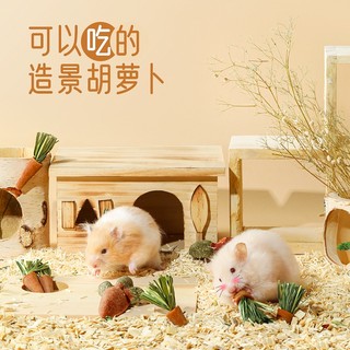 Cà rốt mài răng cho hamster