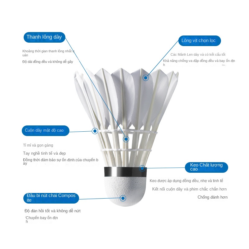 Cầu Lông Thành Công Ba Sao  Cái Tiêu Chuẩn Thi Đấu đào Tạo Bóng để Chơi ổn định Bóng Lông Vịt TTR042