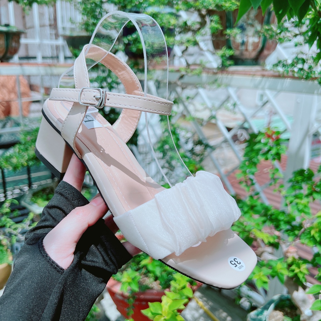 Sandan quai voan nhún bèo xinh 5cm - B8