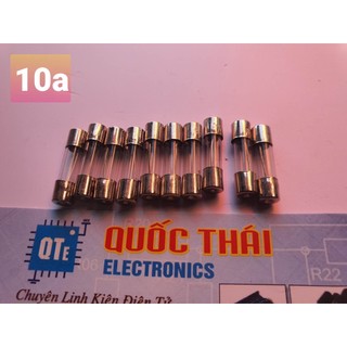 Combo 10 cầu chì 10 a kích thước 5x20mm