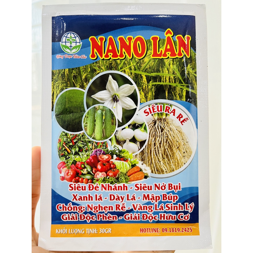 Nano lân (30gr) - Siêu ra rễ, to nhánh, mập búp