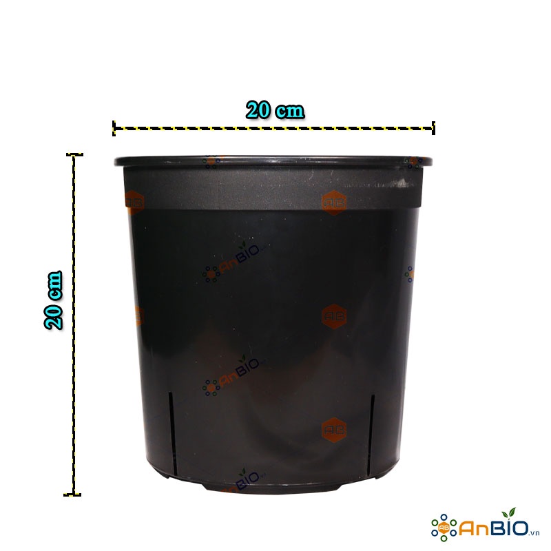 BLOCK 5 CÁI CHẬU NHỰA TRỒNG LAN KIẾM (ĐỊA LAN) ĐƯỜNG KÍNH 20CM - K2B.113