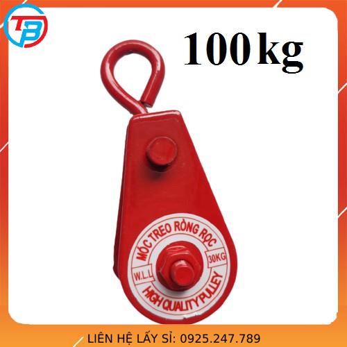 Ròng Rọc Pully 100 kg - Cáp Thép Thái Bình Vina