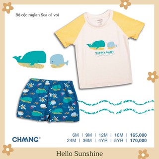 [Chaang] Bộ cộc raglan Sea