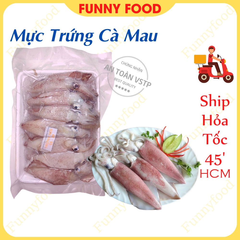 Mực Trứng Tươi Size 20-25 con Mực Ống Trứng Cà Mau Ship Hỏa Tốc HCM