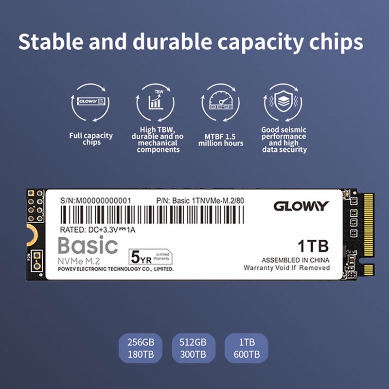 Ổ cứng SSD M2.NVME Gloway 256GB 512GB CHÍNH HÃNG – Bảo hành 3 năm | BigBuy360 - bigbuy360.vn