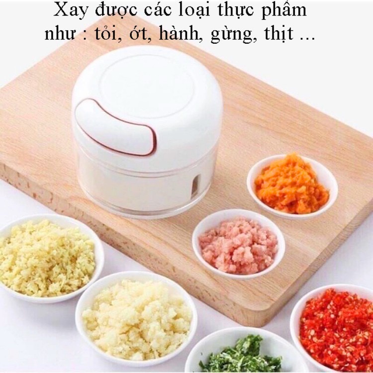 Dụng cụ xay tỏi, ớt ,gia vị, thực phẩm đa năng cầm tay