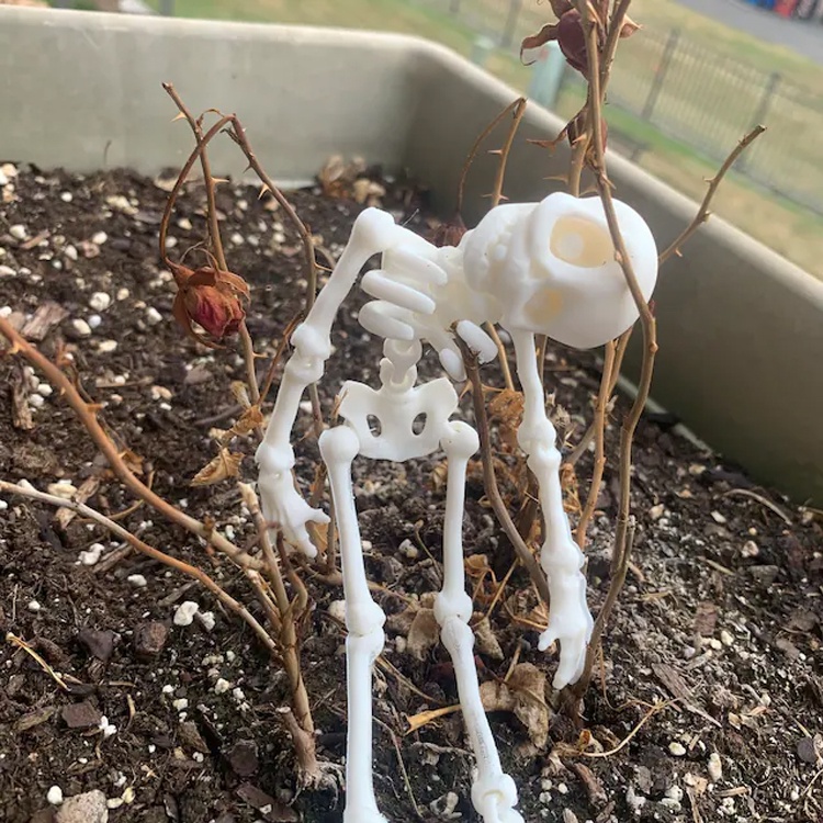 Đồ chơi bộ xương halloween cute vui tính giải trí dễ thương - in 3d thủ công - đồ chơi cho trẻ con đáng yêu nhiều màu