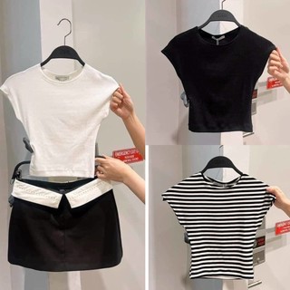 Set 3 áo tay hến ZR basic