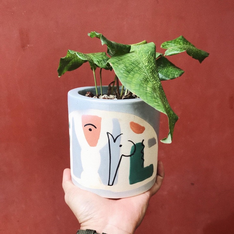 Chậu hoạt hình trồng cây trang trí nhà cửa