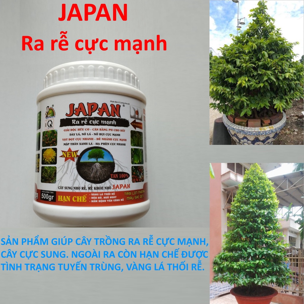 RA RỄ CỰC MẠNH, VỌT ĐỌT CỰC NHANH, MẬP THÂN XANH LÁ. JAPAN 500 GRAM