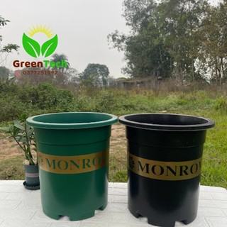5 Chậu Nhựa MONROVIA 7GL Việt Nam