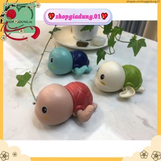 Đồ chơi rùa chạy cót thả bồn tắm