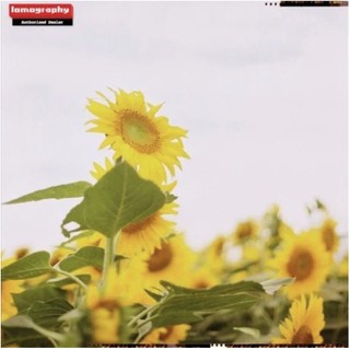 Lomography Color Negative - ISO 100