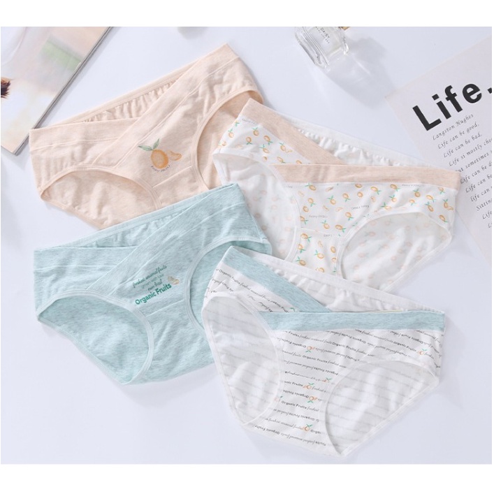 Quần lót bầu cạp chéo kháng khuẩn cotton chất đẹp COMBO 4 QUANBAU01