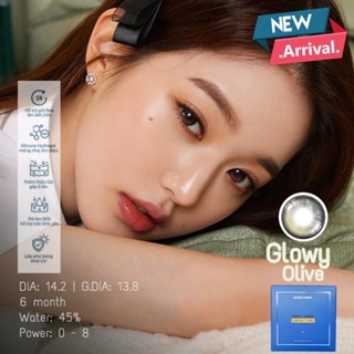 Kính Áp Tròng 6 tháng Filter Phủ Bóng Glowy Olive 14.2 & 14.5  FAIRY SHOP CONTACT LENS Độ 0 -8 cao cấp silicone hydrogel