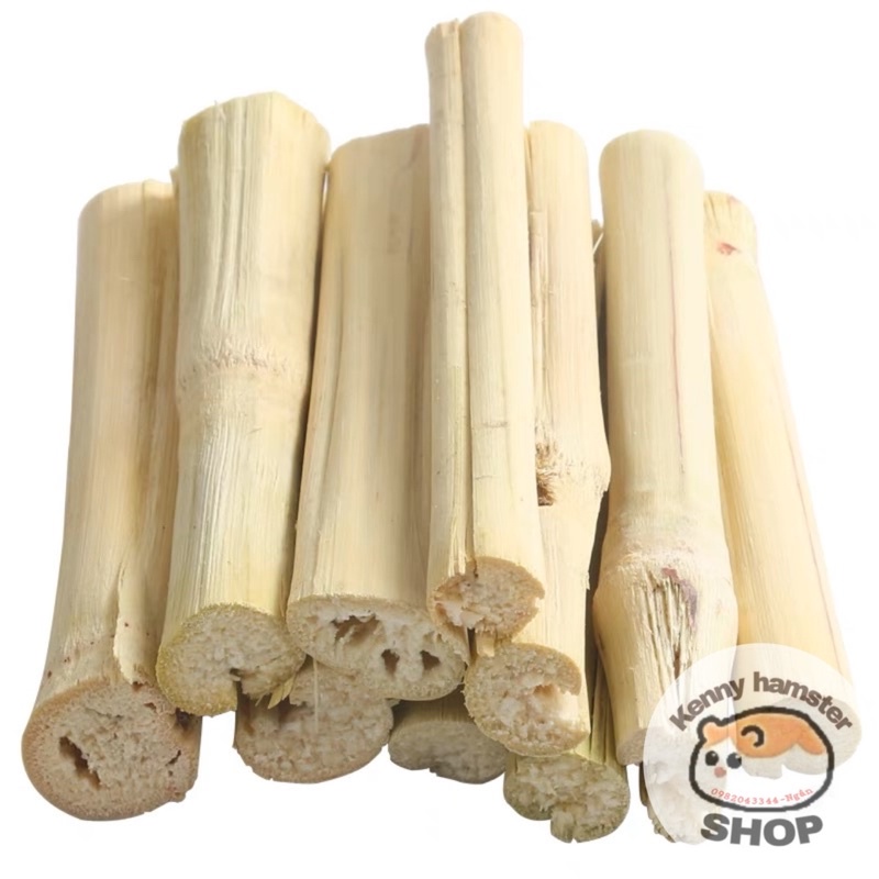 Thanh Tre Ngọt Mài Răng Cho Hamster, Thỏ, Bọ…