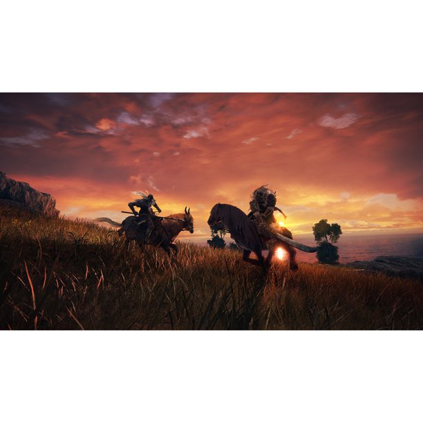 Đĩa game Ps4 : Elden Ring Us