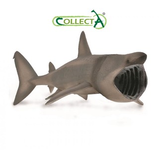Mô hình động vật: Cá Mập Basking ( Chính hãng)