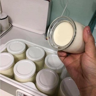MÁY LÀM SỮA CHUA STEBA JM3 (HÀNG ĐỨC)