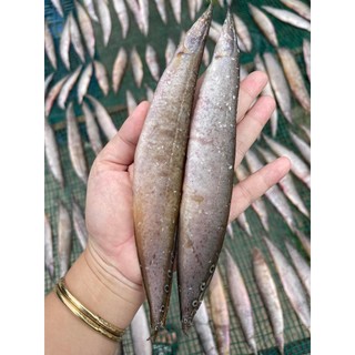 500gam khô cá chạch đồng cà mau