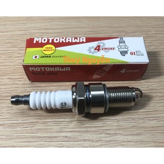 Bugi và Chụp bugi 4 thì máy xăng 5.5HP/6.5HP/7.5HP (Động cơ 160/168/170)
