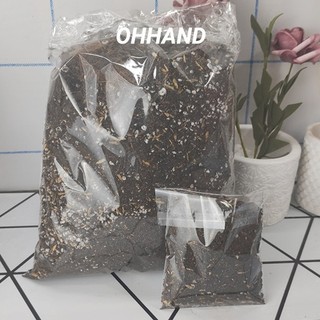 Đất trồng sen đá, xương rồng trộn sẵn 500 gram