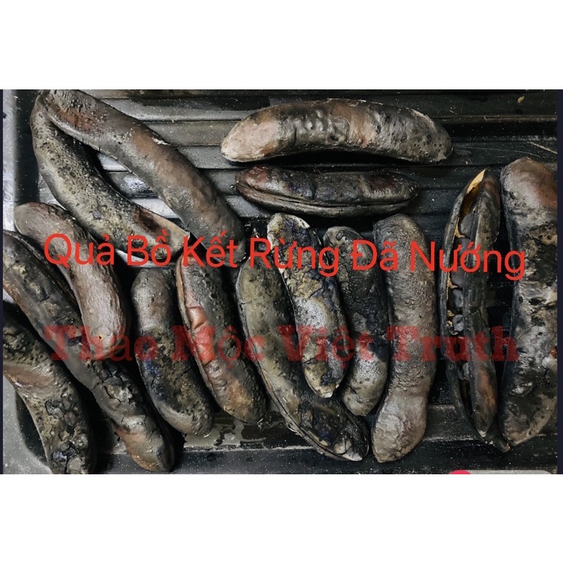 500g BỒ KẾT KHÔ HÀNG RỪNG HIẾM