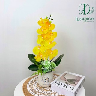 Chậu cây giả - Chậu lan hồ điệp