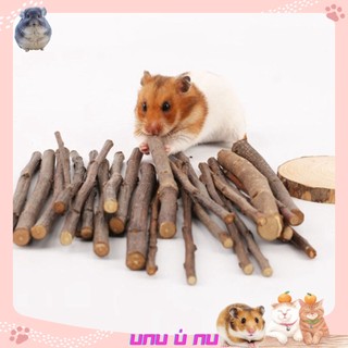Cành Táo Mài Răng Cho Hamster, Thỏ, Chuột Lang 50G