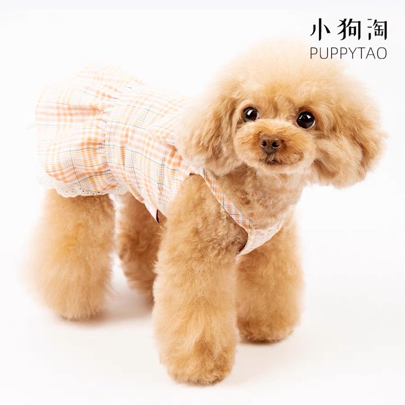 Đầm caro chó mèo