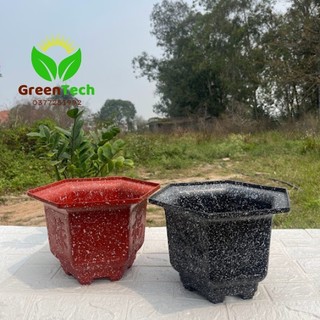 1 Chậu Nhựa Lục Giác Giả Đá 20,21