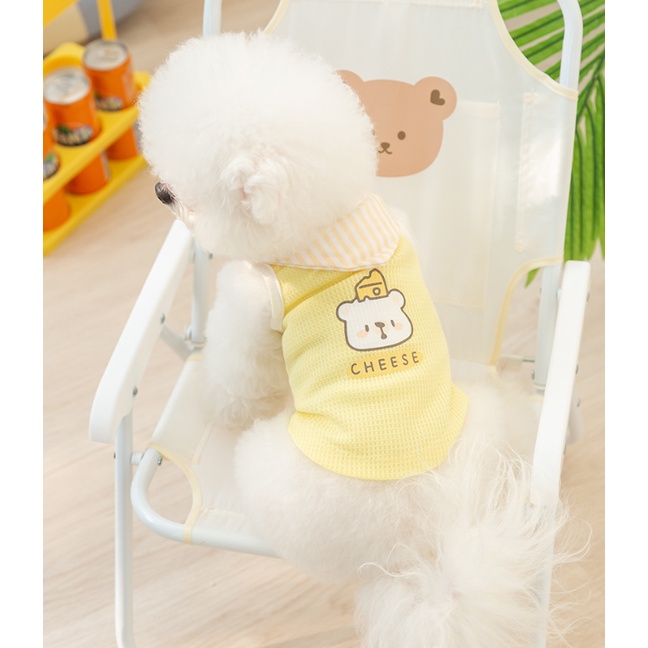 ÁO GẤU CHEESE VÀNG CỔ THỦY THỦ MÁT MẺ THOÁNG KHÍ SIÊU XINH XẮN MÙA HÈ CHO THÚ CƯNG