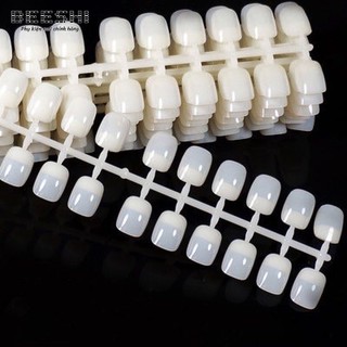 Móng Mẫu Vuông Vẽ Hoạt Hình-120 Móng