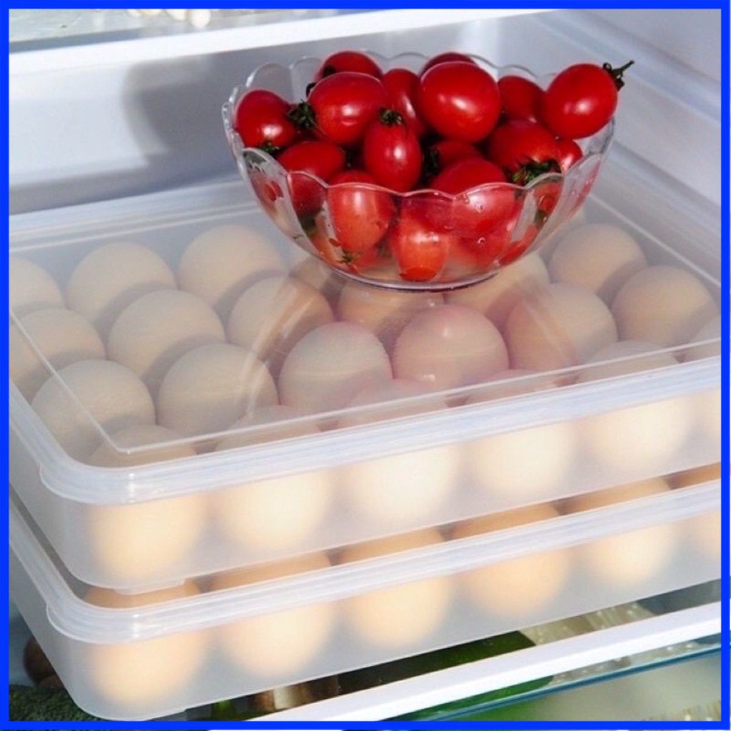 [Tổng Kho] Khay để trứng 24 quả nhựa VIỆT NHẬT cao cấp',dễ sử dụng
