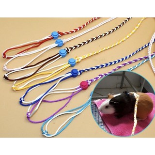 dây dắt hamster - sóc - thỏ - bọ bằng vải