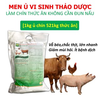Men ủ vi sinh thảo dược - Ủ chín thức ăn chăn nuôi