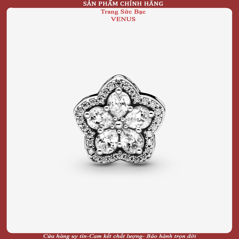 Bộ sưu tập charm ngôi sao 5 cánh- Bạc 925- Trang sức bạc Venus